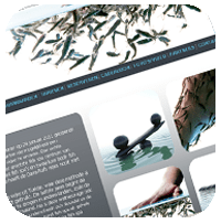 Garra Rufa Fish Spa Centre Beverwijk